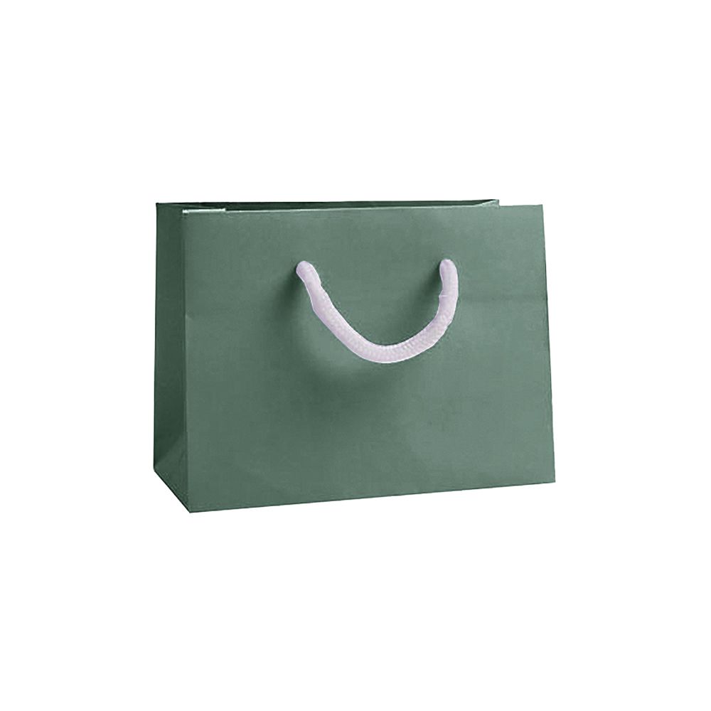 Small Landscape Forest Green Paper Gift Bag with Rope Handles