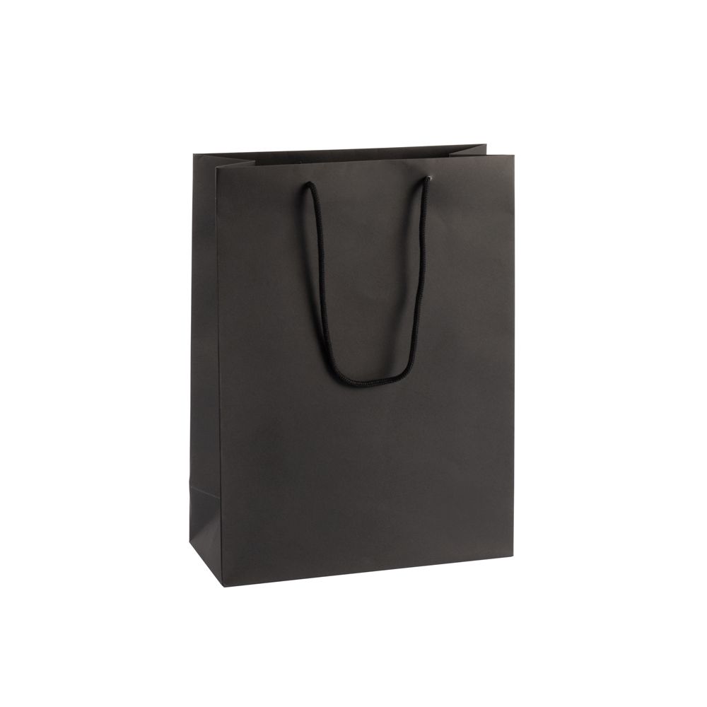 Extra Large Portrait Black Paper Gift Bag With Rope Handles