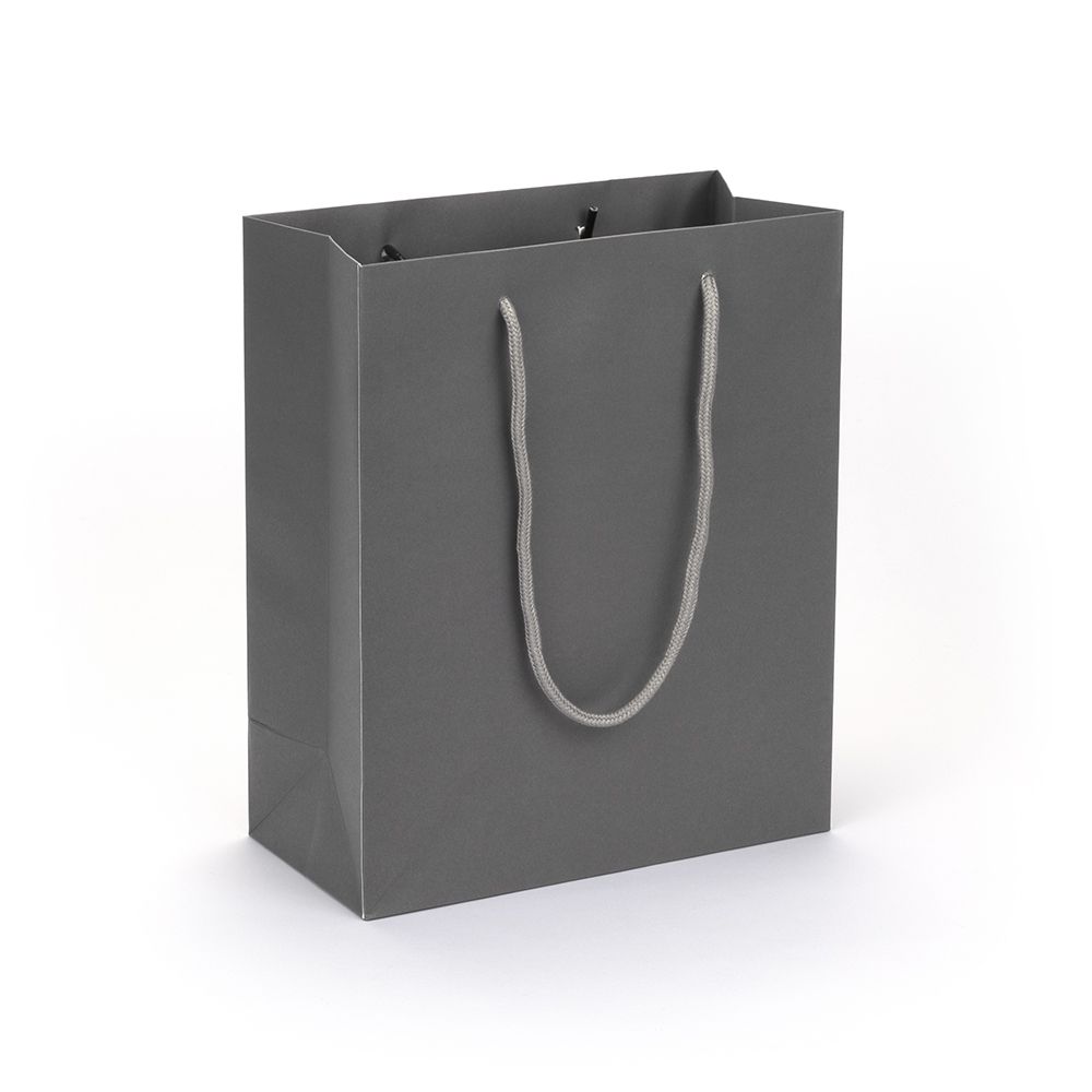Large Portrait Grey Paper Gift Bag With Rope Handles