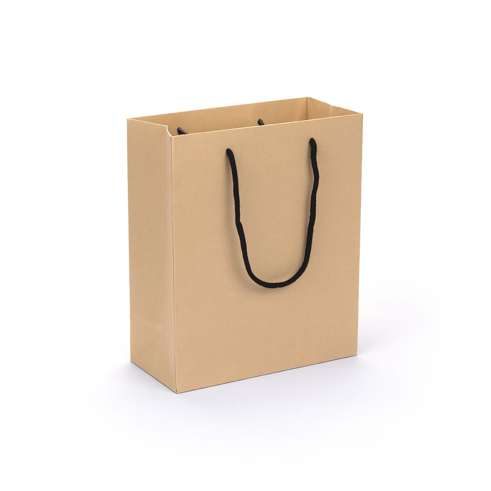 Large Portrait Kraft Brown Paper Gift Bag With Rope Handles