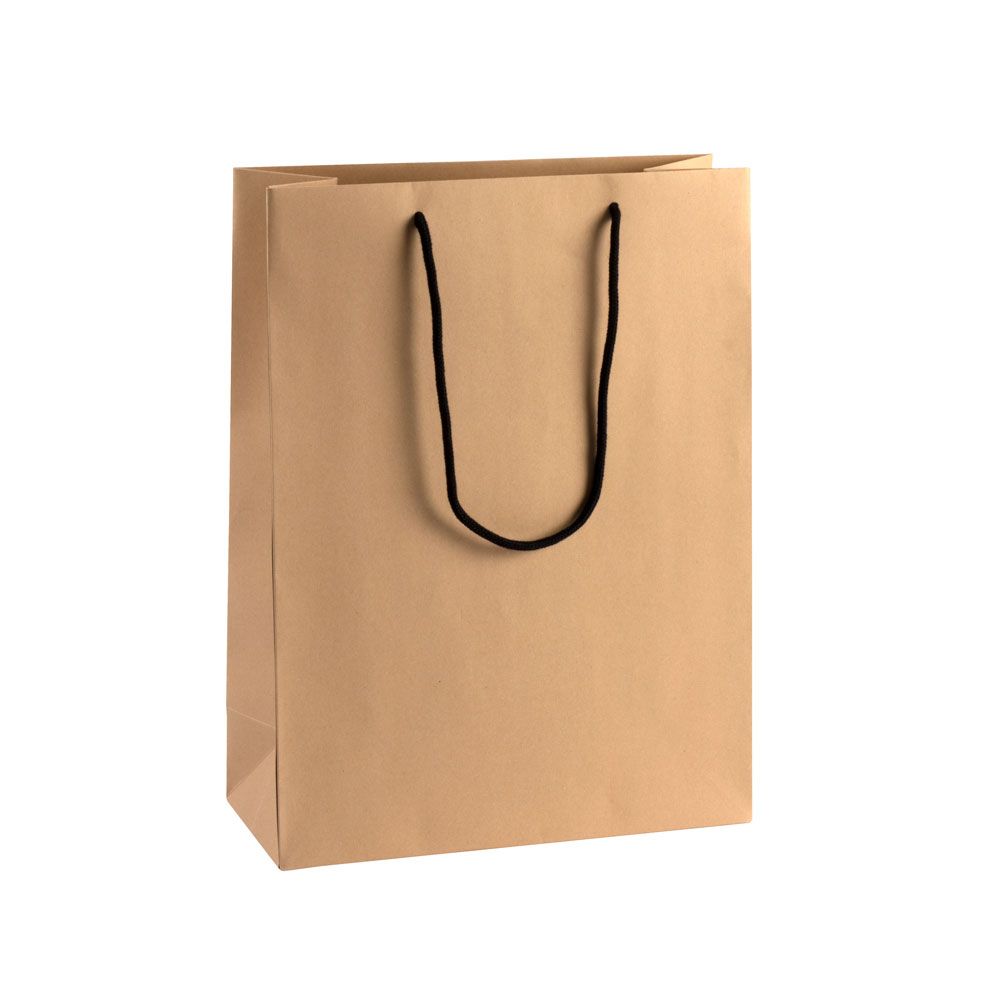 Extra Large Portrait Kraft Paper Gift Bag With Rope Handles