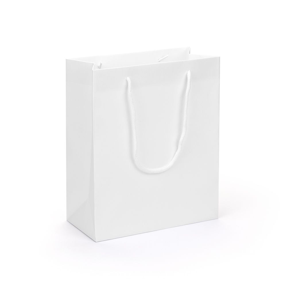 Large Portrait White Paper Gift Bag With Rope Handles
