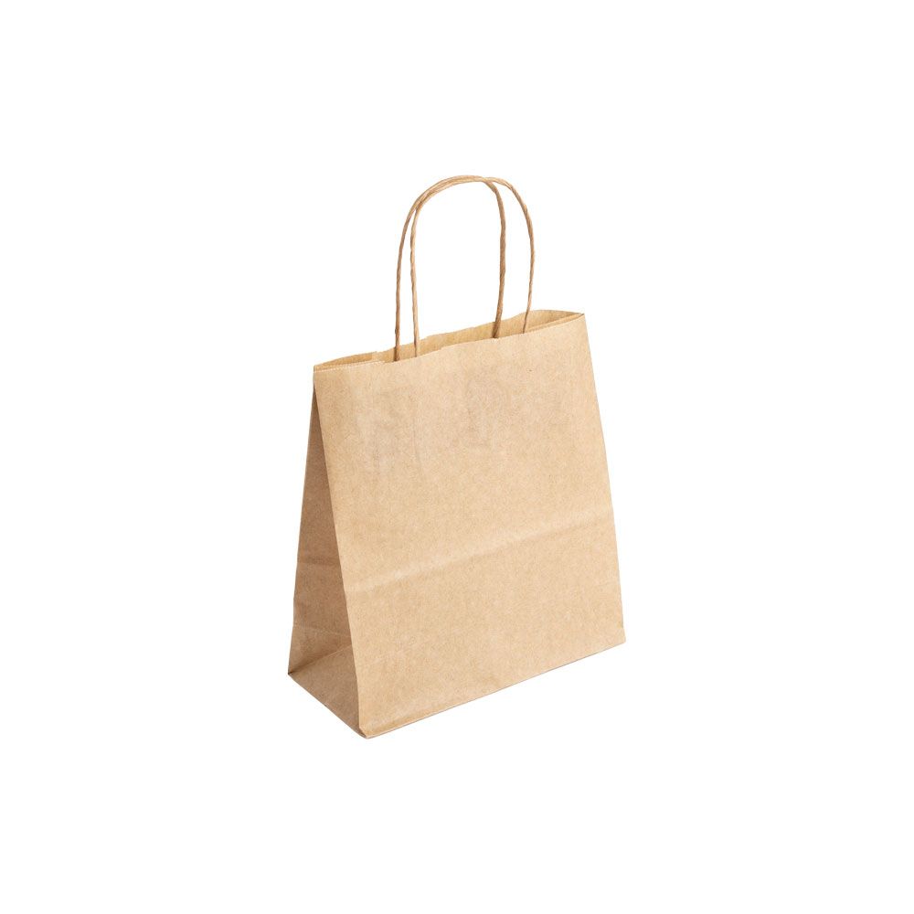 Essentials Small Kraft Brown Paper Gift Bag with Paper Twisted Handles