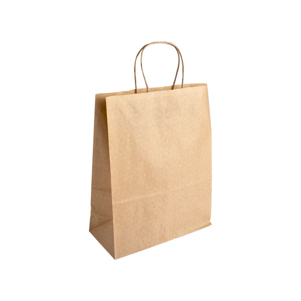 Essentials Medium Kraft Brown Paper Gift Bag with Paper Twisted Handles