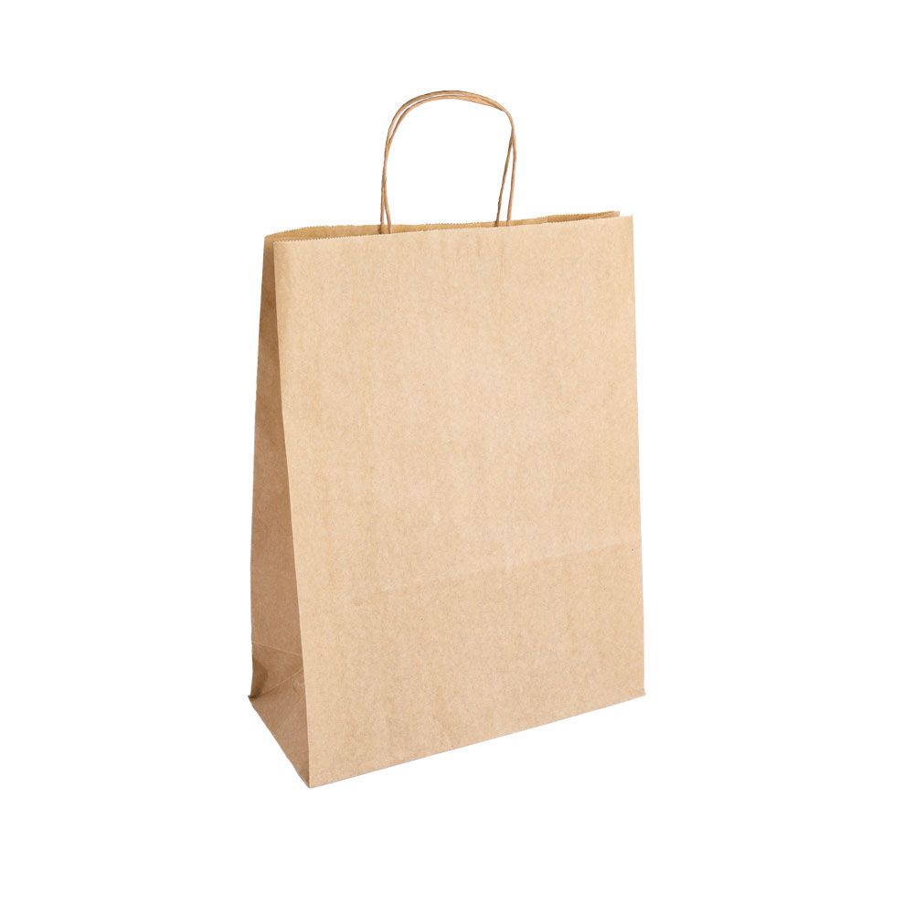 Essentials Large Kraft Brown Paper Gift Bag with Paper Twisted Handles