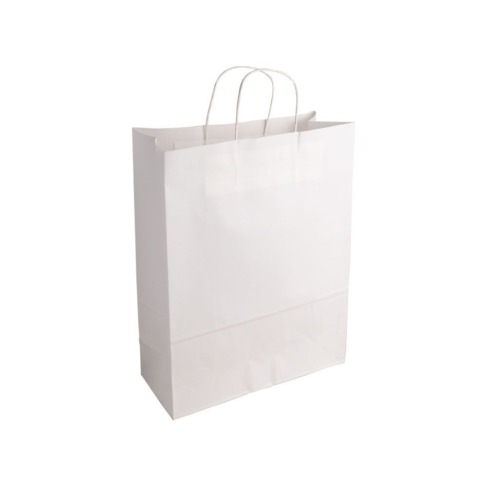 Essentials Large White Paper Gift Bag With Paper Twisted Handles