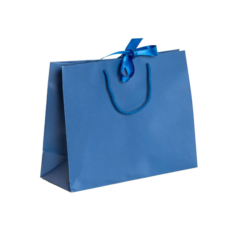 Pack of 25 Large Landscape Blue Paper Gift Bags With Rope Handles and Ribbon