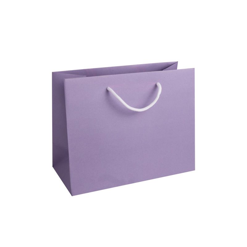 Seconds Medium Landscape Lilac Paper Gift Bag With Rope Handles