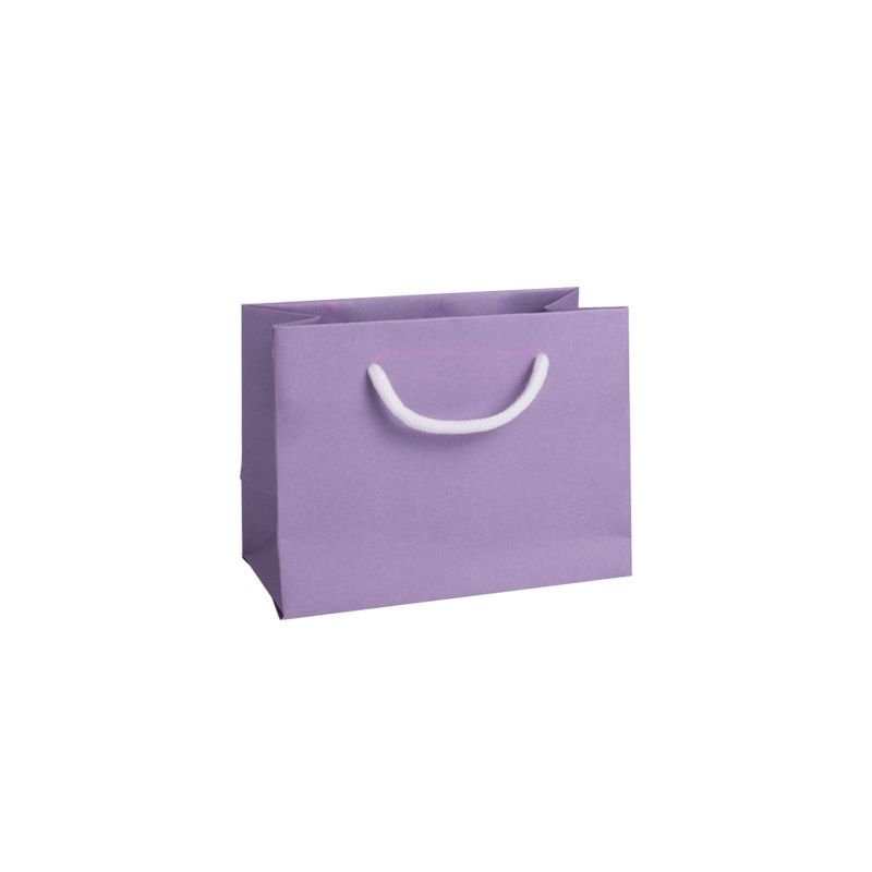 Seconds Small Landscape Lilac Paper Gift Bag With Rope Handles