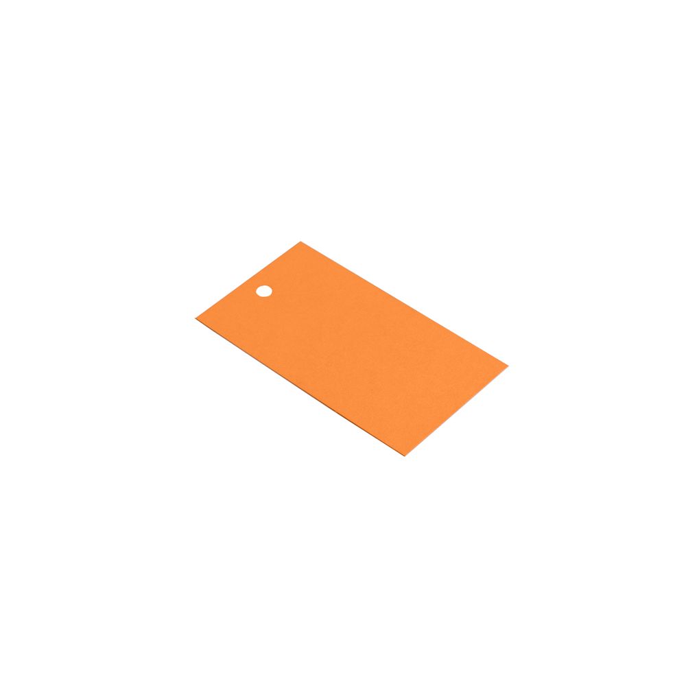 Orange Gift Tags - Pack of 10