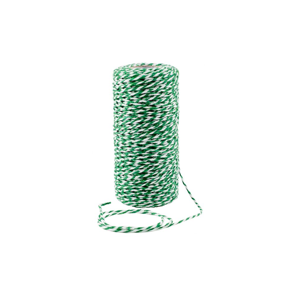 Green &amp; White Twine 100 metres