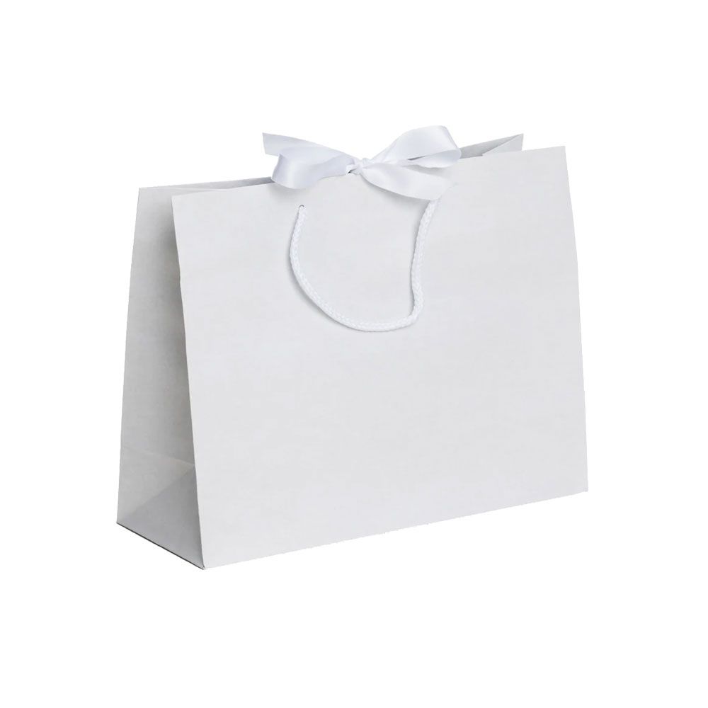 Pack of 25 Medium Landscape Antique White Paper Gift Bags With Rope Handles and Ribbon
