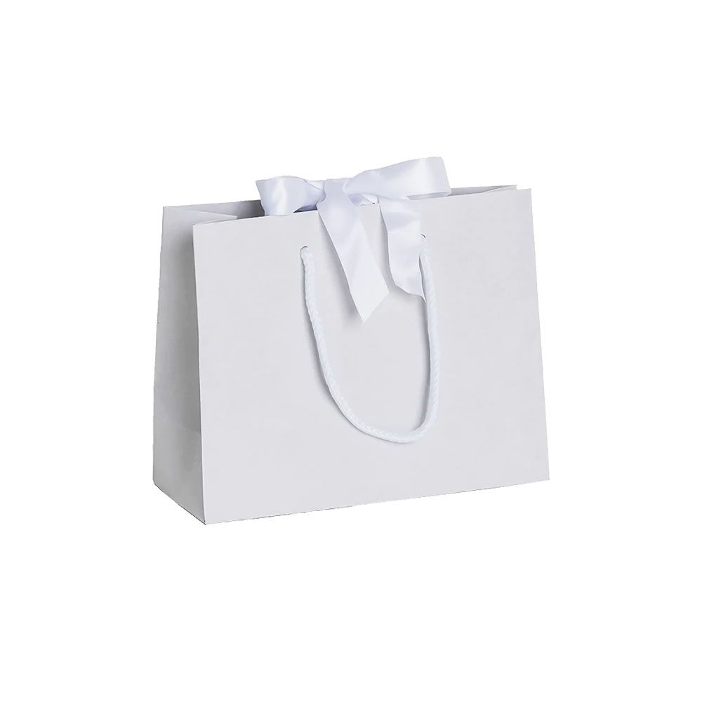 Pack of 25 Small Landscape Antique White Paper Gift Bags With Rope Handles and Ribbon