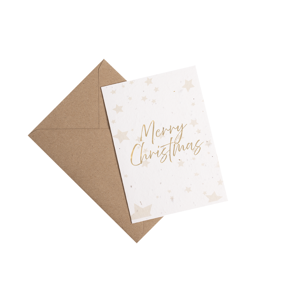 A6 Plantable Merry Christmas Card with Stars